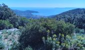 Trail Walking Le Lavandou - Rando Les Balcons de Cavalière - Photo 3