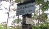 Trail Walking Fontainebleau - Lescoussins de lutins - Photo 2