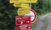 Tour Zu Fuß Dienten am Hochkönig - Dienten-Sunnhüttl - Photo 7