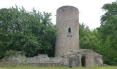 Randonnée A pied Bad Soden-Salmünster - Stolzenberger Ritterblick ( Spessartfährten ) - Photo 1