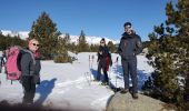 Tocht Sneeuwschoenen Font-Romeu-Odeillo-Via - Autour du refuge de La Calme  - Photo 3