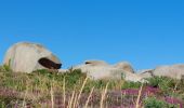 Tocht Stappen Perros-Guirec - LE SENTIER DES DOUANIERS  - Photo 13