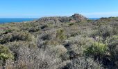 Tocht Stappen Cadaqués - Cap Creus effacer trace excédentaire  - Photo 11