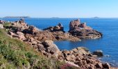 Randonnée Marche Perros-Guirec - LE SENTIER DES DOUANIERS  - Photo 10