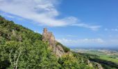 Excursión Senderismo Ribeauvillé - châteaux de Ribeauvillé  - Photo 1