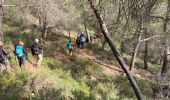 Excursión Senderismo Le Tholonet - Le tolonet - Photo 11