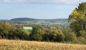 Excursión Senderismo Virton - La Charmouthienne_boucle_Ethe_15km_2019-10-13 - Photo 14