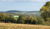 Tocht Stappen Virton - La Charmouthienne_boucle_Ethe_15km_2019-10-13 - Photo 14