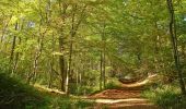 Trail Mountain bike Saint-Michel - Rando VTT des Verts de Terre 2018 - 70KM : 1200m - Photo 1