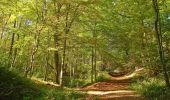 Randonnée V.T.T. Saint-Michel - Rando VTT des Verts de Terre 2018 - 70KM : 1200m - Photo 1