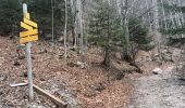 Tocht Stappen Saint-Pierre-d'Entremont - le Grand Manti au départ de Les Varlat en passant par L'Alpette de la Dame  - Photo 12