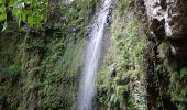 Randonnée Marche Porto Moniz - Gorge de la Ribeira da Janela et sa belle cascade (Rother n°60) - Photo 13