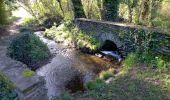 Tocht Stappen Brissac-Loire-Aubance - St Saturnin  - Photo 19