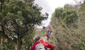 Percorso Marcia Sablet - Les crêtes de saint Amant  - Photo 14