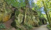 Tour Wandern Waldbillig - Müllerthal W7 par la déviation  - Photo 3