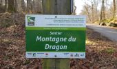 Randonnée Marche Baelen - La Montagne du Dragon - Photo 4