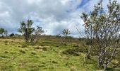 Tour Wandern Chalmazel-Jeansagnière - Col de la Loge - Col du Béal - Photo 1