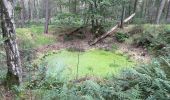 Randonnée Marche Loon op Zand - Loonse Park Roestelberg 22,8 km - Photo 13