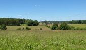 Randonnée Marche Habay - GRP 151  Anlier - autoroute sortie Rulles - Photo 4