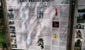 Excursión A pie Wallenborn - HeimatSpur Wallenborner Weg - Photo 4