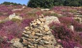 Tocht Stappen Rosis - Col de Madale - Col de la Fage - Photo 2