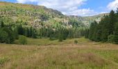 Trail Walking Le Valtin - Les quatre lacs - Photo 4