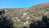 Trail Walking Ansignan - sentier des dolmens en fenouillèdes - Photo 1