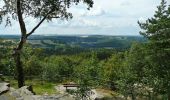 Tour Zu Fuß Bad Gottleuba-Berggießhübel - Gelber Punkt Bahratal - Photo 2