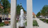 Tour Zu Fuß Tirschenreuth - Tirschenreuth Rundwanderweg Nr. 10 - Photo 1