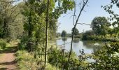 Tocht Stappen Vred - Les tourbières de Vred et les marais de la Scarpe - Photo 1