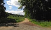 Randonnée Marche Rethondes - en forêt de Laigue_6_12_2019_Route Forestière des Princesses_Route et Chemin de Briançon - Photo 17