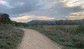 Percorso Marcia Puente la Reina/Gares - 2023 10 17 CAMINO FRANCES - 25ème étape : Puente La Reina - Mañeru - Cirauqui - Lorca Villatuerta - Estelle - Ayegui - Irache - Azqueta - Villamayor de Montjardin. - Photo 4