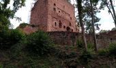 Percorso Mountainbike Obernai - Obernai - Châteaux d'Ottrott et retour - Photo 2