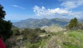 Excursión Senderismo Castellar - Castellar : le Grand Mont - Photo 15