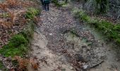 Trail Walking Sainte-Consorce - Ste Consorce (69) à la Croix du Ban. - Photo 4