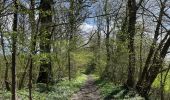 Tocht Stappen Holsbeek - Sin Pieter Rode  - Photo 5