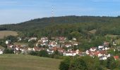 Randonnée A pied Abtsteinach - Rundwanderweg Abtsteinach 10: Leonhardsberg-Weg - Photo 2