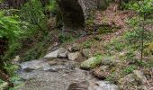 Trail On foot Tenero-Contra - Sentiero Collina Alta - Photo 3