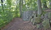 Tour Wandern Verviers - 20210902 - TOTEMUS Verviers - 4.5 Km - Photo 5