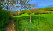Trail Walking Houyet - Balade autour du Château de Vêves - Celles - Photo 12