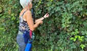 Percorso Marcia Tellin - Bure - Photo 2