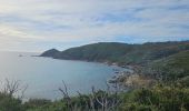 Trail Walking La Croix-Valmer - Boucle en partant de la plage de Gigaro - Photo 15