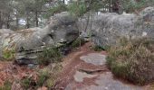 Tour Wandern Fontainebleau - Belle Croix  - Photo 10