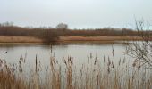 Tocht Stappen Veere - Se promener dans Westkapelle et dans les dunes  - Photo 10