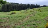 Trail Walking La Bastide-Puylaurent - la bastide-> notre Dame des neiges - Photo 2