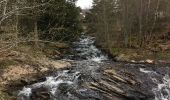 Trail Walking Murat - GR400 Tour du Cantal - Photo 3