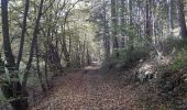 Trail Walking Aywaille - autour de Septroux - Photo 8