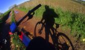 Trail Mountain bike Fleurus - les fleche de fleurus - Photo 4