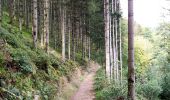 Randonnée Marche Libin - Promenade de la Lesse (8,6km)   - Photo 3