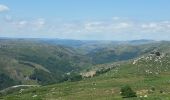 Tour Wandern Pont de Montvert - Sud Mont Lozère - Pont Lozère versant sud : beal de Felgerolles Pont du Tarn  - Photo 20